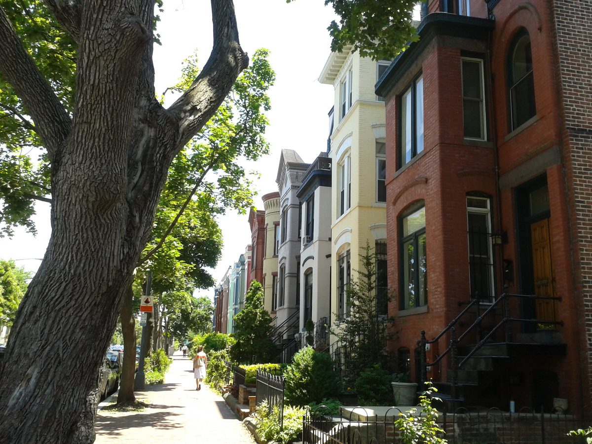 Capitol Hill Rowhouses in Capitol Hill, DC
